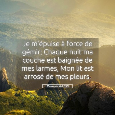 Picture 05 - Psaumes 6:6 LSG - Je m'épuise à force de gémir; Chaque nuit ma - Bible Verse Picture