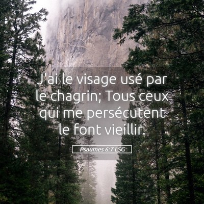 Picture 05 - Psaumes 6:7 LSG - J'ai le visage usé par le chagrin; Tous ceux qui - Bible Verse Picture