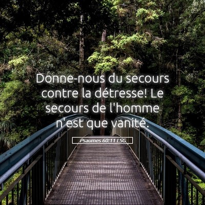 Picture 05 - Psaumes 60:11 LSG - Donne-nous du secours contre la détresse! Le - Bible Verse Picture