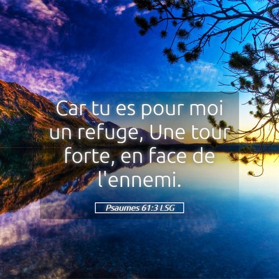 Picture 05 - Psaumes 61:3 LSG - Car tu es pour moi un refuge, Une tour forte, en - Bible Verse Picture