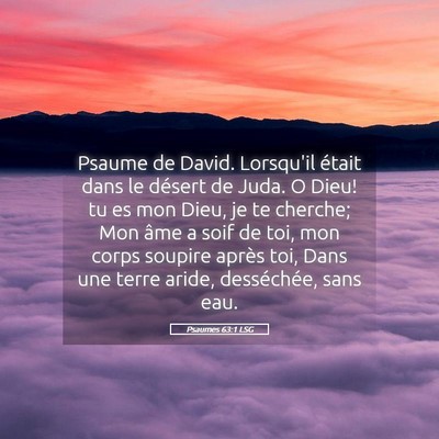 Picture 05 - Psaumes 63:1 LSG - Psaume de David. Lorsqu'il était dans le désert - Bible Verse Picture