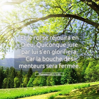 Picture 05 - Psaumes 63:11 LSG - Et le roi se réjouira en Dieu; Quiconque jure - Bible Verse Picture