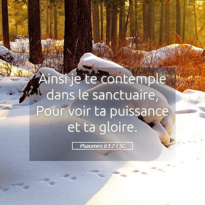 Picture 05 - Psaumes 63:2 LSG - Ainsi je te contemple dans le sanctuaire, Pour - Bible Verse Picture