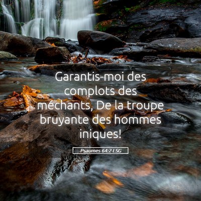 Picture 05 - Psaumes 64:2 LSG - Garantis-moi des complots des méchants, De la - Bible Verse Picture