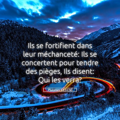 Picture 05 - Psaumes 64:5 LSG - Ils se fortifient dans leur méchanceté: Ils se - Bible Verse Picture
