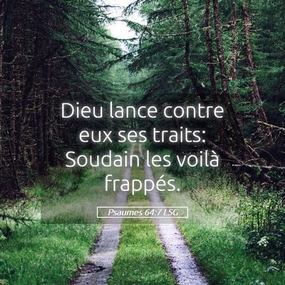 Picture 05 - Psaumes 64:7 LSG - Dieu lance contre eux ses traits: Soudain les - Bible Verse Picture
