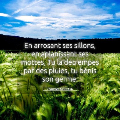 Picture 05 - Psaumes 65:10 LSG - En arrosant ses sillons, en aplanissant ses - Bible Verse Picture