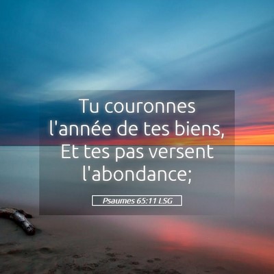 Picture 05 - Psaumes 65:11 LSG - Tu couronnes l'année de tes biens, Et tes pas - Bible Verse Picture