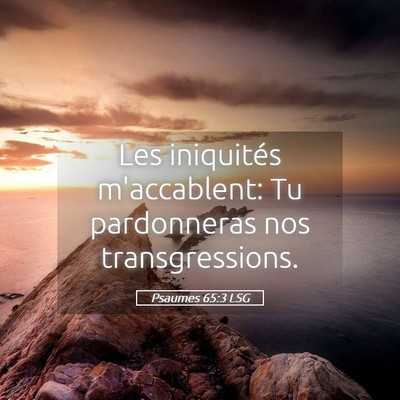 Picture 05 - Psaumes 65:3 LSG - Les iniquités m'accablent: Tu pardonneras nos - Bible Verse Picture
