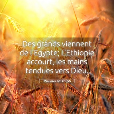 Picture 05 - Psaumes 68:31 LSG - Des grands viennent de l'Egypte; L'Ethiopie - Bible Verse Picture