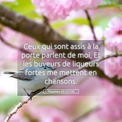 Picture 05 - Psaumes 69:12 LSG - Ceux qui sont assis à la porte parlent de moi, - Bible Verse Picture