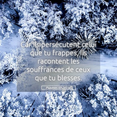 Picture 05 - Psaumes 69:26 LSG - Car ils persécutent celui que tu frappes, Ils - Bible Verse Picture