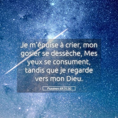 Picture 05 - Psaumes 69:3 LSG - Je m'épuise à crier, mon gosier se dessèche, - Bible Verse Picture