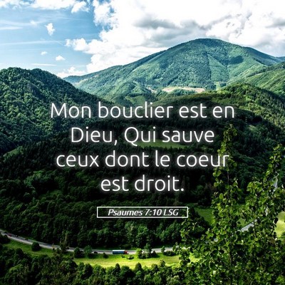 Picture 05 - Psaumes 7:10 LSG - Mon bouclier est en Dieu, Qui sauve ceux dont le - Bible Verse Picture