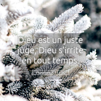 Picture 05 - Psaumes 7:11 LSG - Dieu est un juste juge, Dieu s'irrite en tout - Bible Verse Picture