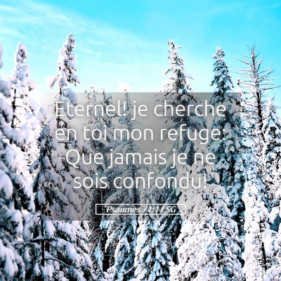 Picture 05 - Psaumes 71:1 LSG - Eternel! je cherche en toi mon refuge: Que jamais - Bible Verse Picture