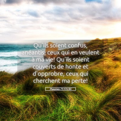 Picture 05 - Psaumes 71:13 LSG - Qu'ils soient confus, anéantis, ceux qui en - Bible Verse Picture