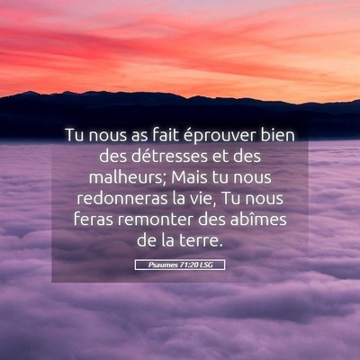 Picture 05 - Psaumes 71:20 LSG - Tu nous as fait éprouver bien des détresses et - Bible Verse Picture