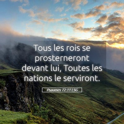 Picture 05 - Psaumes 72:11 LSG - Tous les rois se prosterneront devant lui, Toutes - Bible Verse Picture