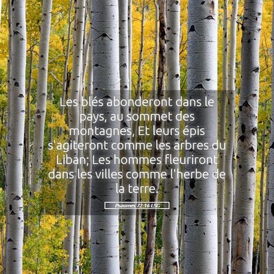 Picture 05 - Psaumes 72:16 LSG - Les blés abonderont dans le pays, au sommet des - Bible Verse Picture