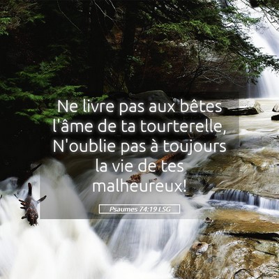 Picture 05 - Psaumes 74:19 LSG - Ne livre pas aux bêtes l'âme de ta tourterelle, - Bible Verse Picture