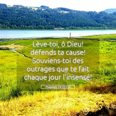 Picture 05 - Psaumes 74:22 LSG - Lève-toi, ô Dieu! défends ta cause! - Bible Verse Picture