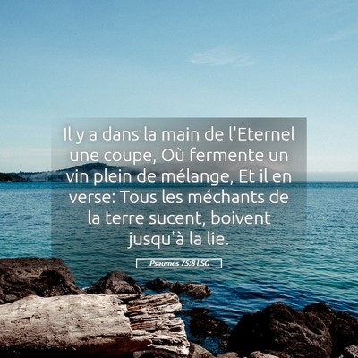 Picture 05 - Psaumes 75:8 LSG - Il y a dans la main de l'Eternel une coupe, Où - Bible Verse Picture