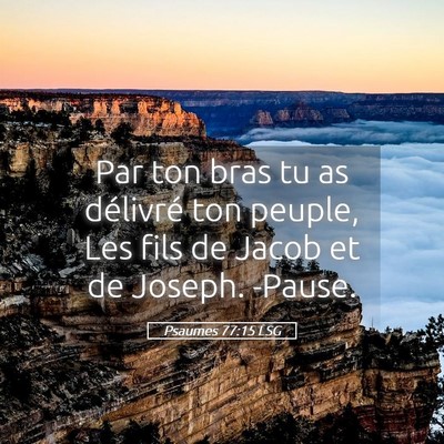 Picture 05 - Psaumes 77:15 LSG - Par ton bras tu as délivré ton peuple, Les fils - Bible Verse Picture