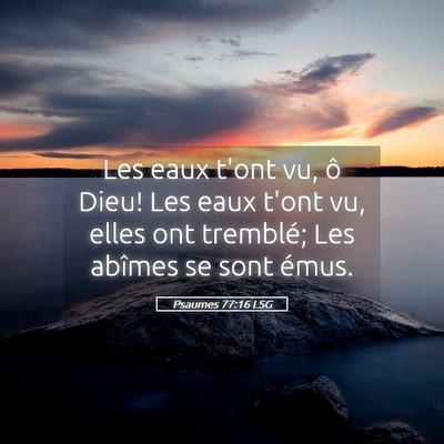Picture 05 - Psaumes 77:16 LSG - Les eaux t'ont vu, ô Dieu! Les eaux t'ont vu, - Bible Verse Picture