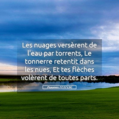 Picture 05 - Psaumes 77:17 LSG - Les nuages versèrent de l'eau par torrents, Le - Bible Verse Picture