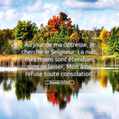Picture 05 - Psaumes 77:2 LSG - Au jour de ma détresse, je cherche le Seigneur; - Bible Verse Picture