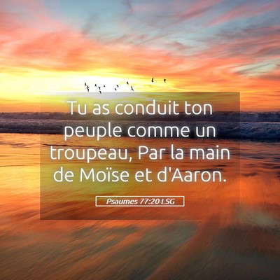 Picture 05 - Psaumes 77:20 LSG - Tu as conduit ton peuple comme un troupeau, Par - Bible Verse Picture