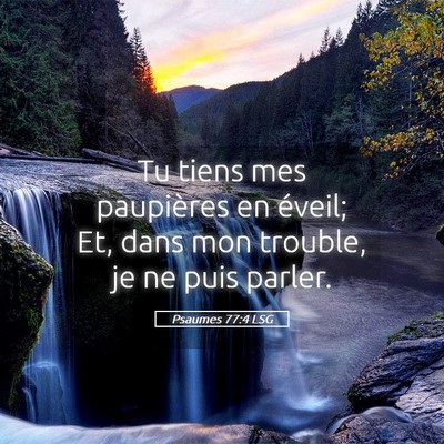 Picture 05 - Psaumes 77:4 LSG - Tu tiens mes paupières en éveil; Et, dans mon - Bible Verse Picture