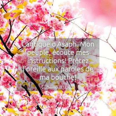 Picture 05 - Psaumes 78:1 LSG - Cantique d'Asaph. Mon peuple, écoute mes - Bible Verse Picture