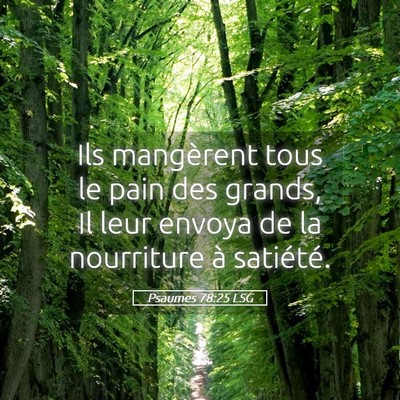 Picture 05 - Psaumes 78:25 LSG - Ils mangèrent tous le pain des grands, Il leur - Bible Verse Picture