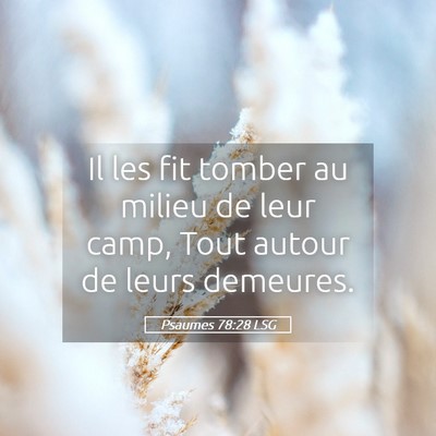 Picture 05 - Psaumes 78:28 LSG - Il les fit tomber au milieu de leur camp, Tout - Bible Verse Picture