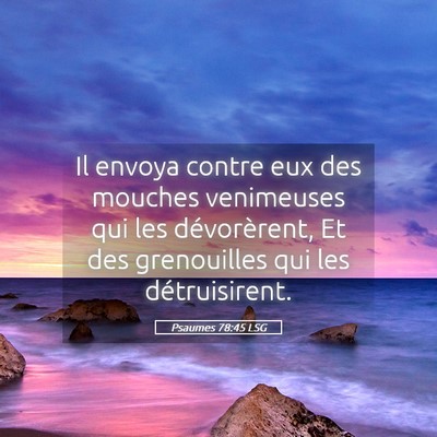 Picture 05 - Psaumes 78:45 LSG - Il envoya contre eux des mouches venimeuses qui - Bible Verse Picture