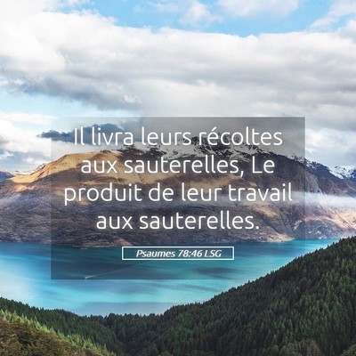 Picture 05 - Psaumes 78:46 LSG - Il livra leurs récoltes aux sauterelles, Le - Bible Verse Picture