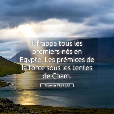 Picture 05 - Psaumes 78:51 LSG - Il frappa tous les premiers-nés en Egypte, Les - Bible Verse Picture