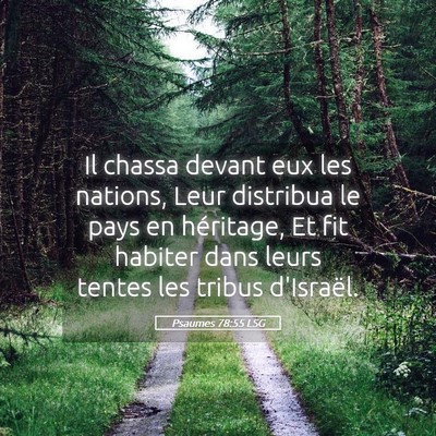 Picture 05 - Psaumes 78:55 LSG - Il chassa devant eux les nations, Leur distribua - Bible Verse Picture