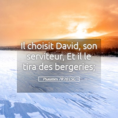 Picture 05 - Psaumes 78:70 LSG - Il choisit David, son serviteur, Et il le tira - Bible Verse Picture