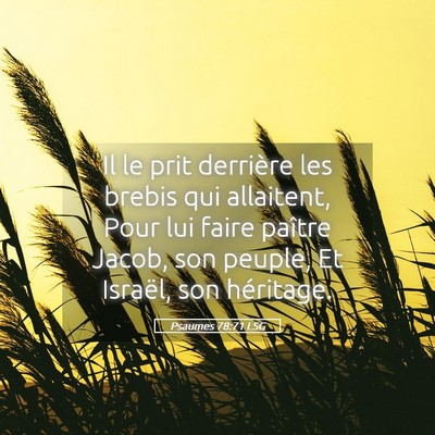 Picture 05 - Psaumes 78:71 LSG - Il le prit derrière les brebis qui allaitent, - Bible Verse Picture