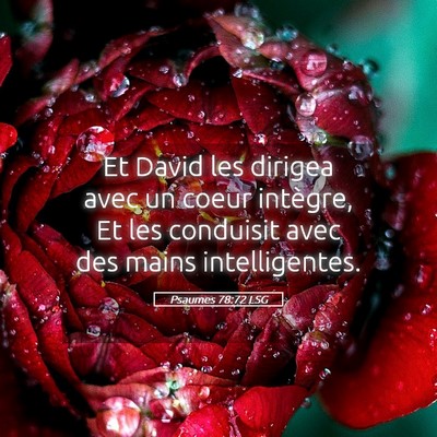 Picture 05 - Psaumes 78:72 LSG - Et David les dirigea avec un coeur intègre, Et - Bible Verse Picture