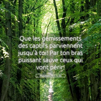Picture 05 - Psaumes 79:11 LSG - Que les gémissements des captifs parviennent - Bible Verse Picture