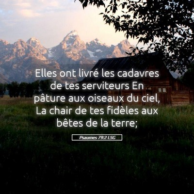 Picture 05 - Psaumes 79:2 LSG - Elles ont livré les cadavres de tes serviteurs - Bible Verse Picture