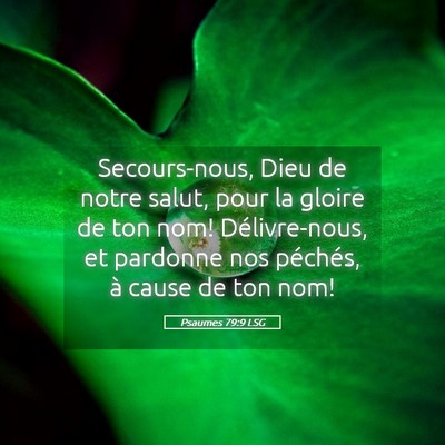 Picture 05 - Psaumes 79:9 LSG - Secours-nous, Dieu de notre salut, pour la gloire - Bible Verse Picture