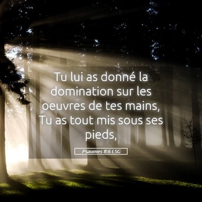 Picture 05 - Psaumes 8:6 LSG - Tu lui as donné la domination sur les oeuvres de - Bible Verse Picture