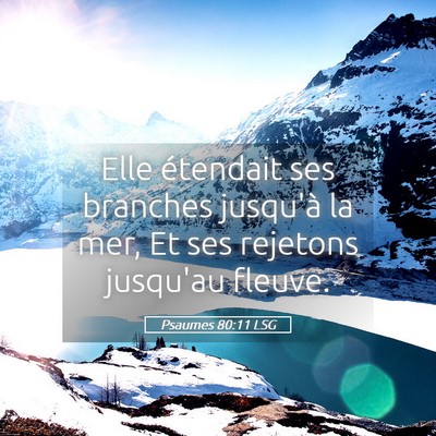 Picture 05 - Psaumes 80:11 LSG - Elle étendait ses branches jusqu'à la mer, Et - Bible Verse Picture