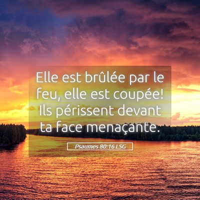 Picture 05 - Psaumes 80:16 LSG - Elle est brûlée par le feu, elle est coupée! - Bible Verse Picture