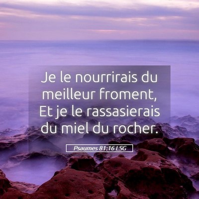 Picture 05 - Psaumes 81:16 LSG - Je le nourrirais du meilleur froment, Et je le - Bible Verse Picture